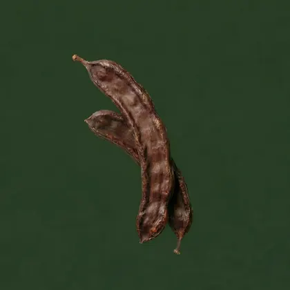 Carob, Ceratonia siliqua, photographed on the Bioraya green for the ingredient index