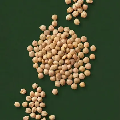 Chickpeas, Cicer arietinum, photographed on the Bioraya green for the ingredient index