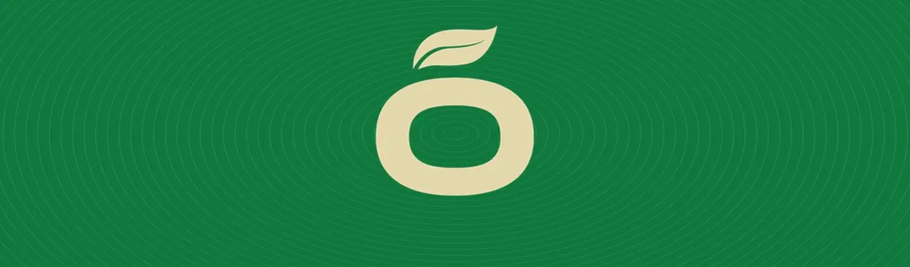 Bioraya logotype animation