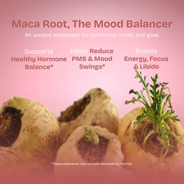 Module bienfaits de la racine de maca Kyachi pour la fiche produit